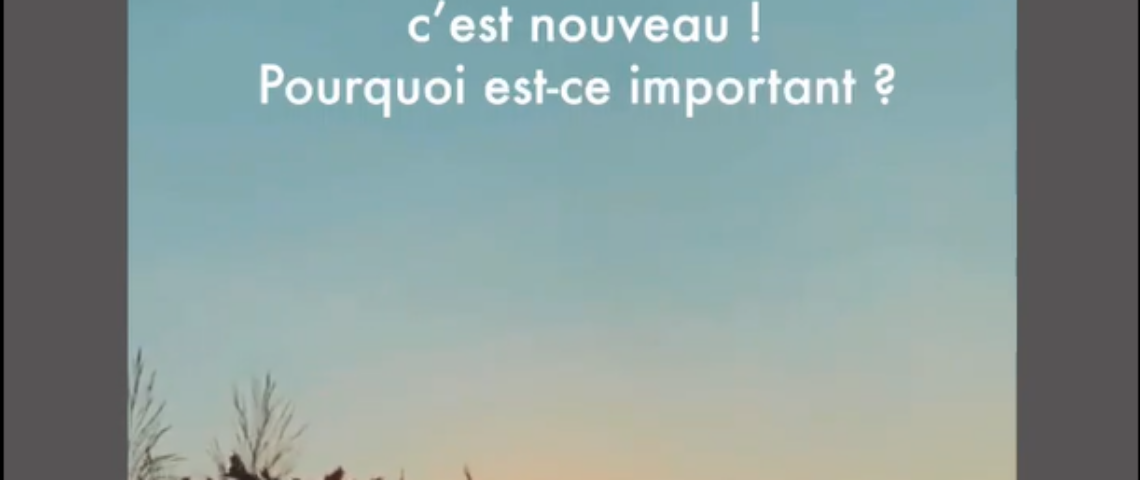 Capture d’écran 2025-07-01 182523